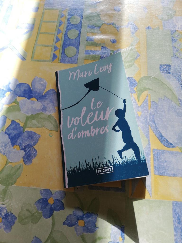 Marc Levy. Le voleur d'ombres., Enlèvement ou Envoi, Comme neuf