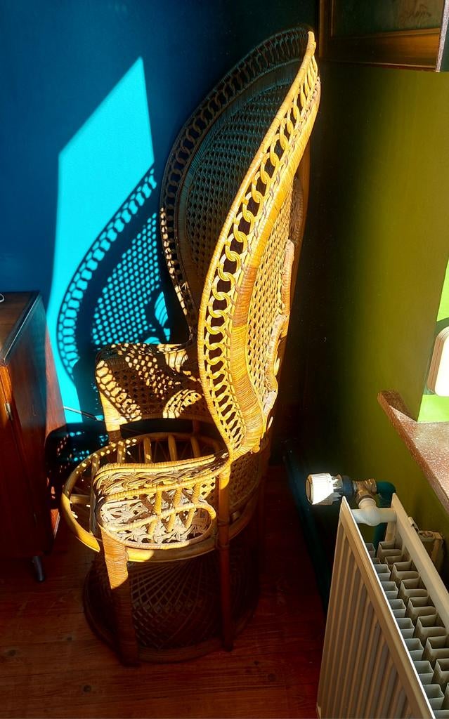 Pauwenstoel jaren 70 rotan bamboe riet webbing peacock chair, Ophalen