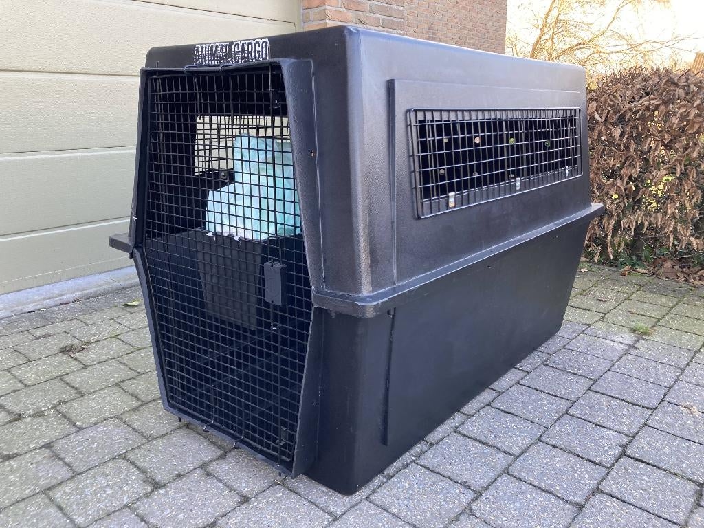 Transportbox - hondenbench IATA XL-XXL, Ophalen, Zo goed als nieuw