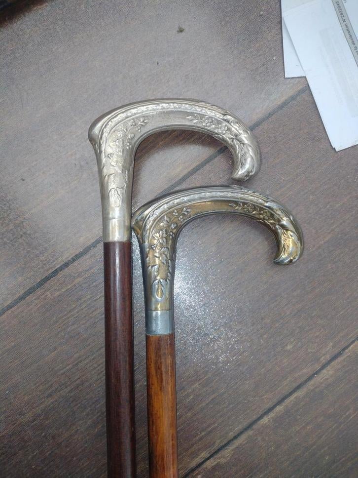 wandelstok, Ophalen of Verzenden
