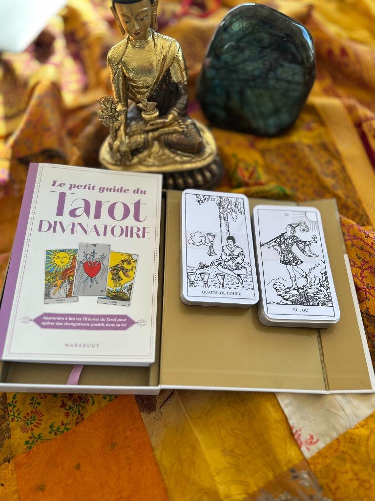 Jeu de tarot de Rider White à colorier, Livres, Ésotérisme & Spiritualité, Neuf, Tarot ou Tirage de Cartes, Enlèvement ou Envoi