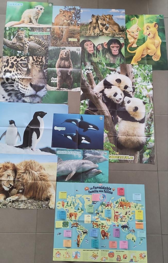 Collection de posters d'animaux + carte du monde des félins, Enlèvement