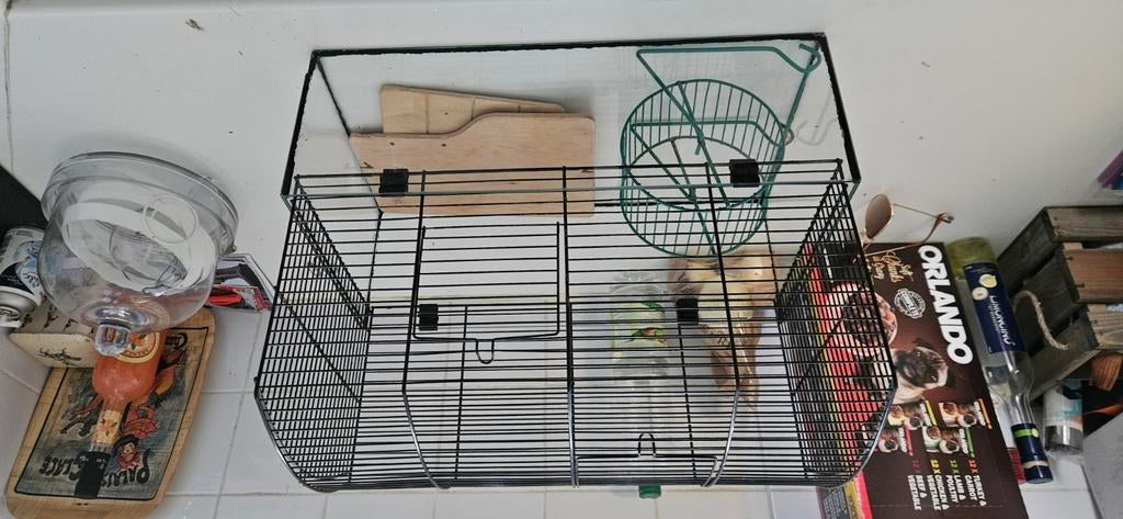 Knaagdierkooi, Moins de 60 cm, Cage, Comme neuf, Rat