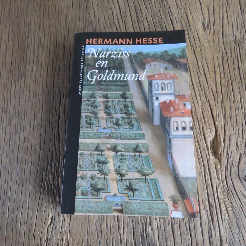 Herman Hesse Narziss en Goldmund, Boeken, Ophalen of Verzenden