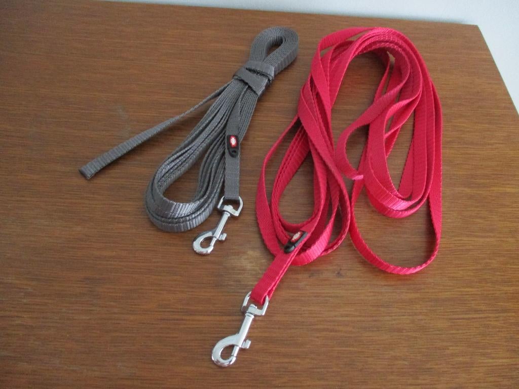 leiband voor hond, Ophalen of Verzenden, Nieuw