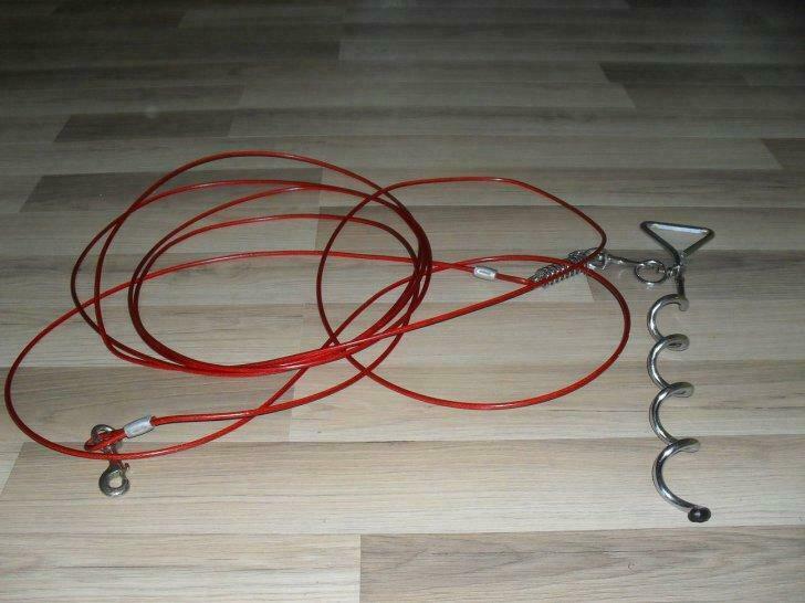 piquet d attache + cable pour chien, Animaux & Accessoires, Utilisé