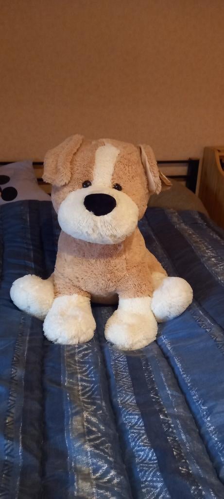 Grote pluche hond, Ophalen of Verzenden, Nieuw, Hond