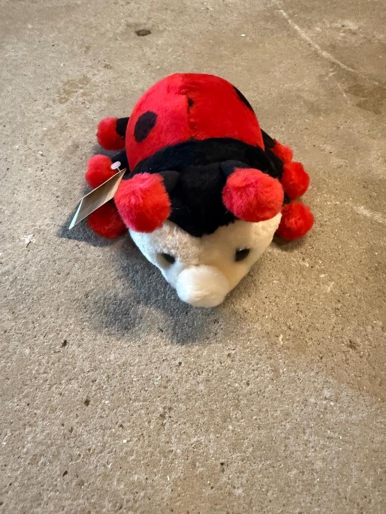 Coccinelle musicale  L Dake en Zn, Kinderen en Baby's, Ophalen of Verzenden, Nieuw, Overige typen