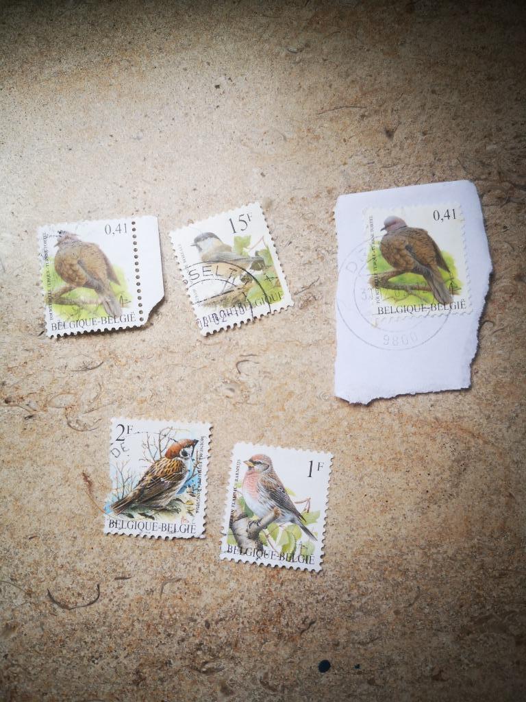 5 timbres estampillés Oiseaux de Belgique, Enlèvement ou Envoi