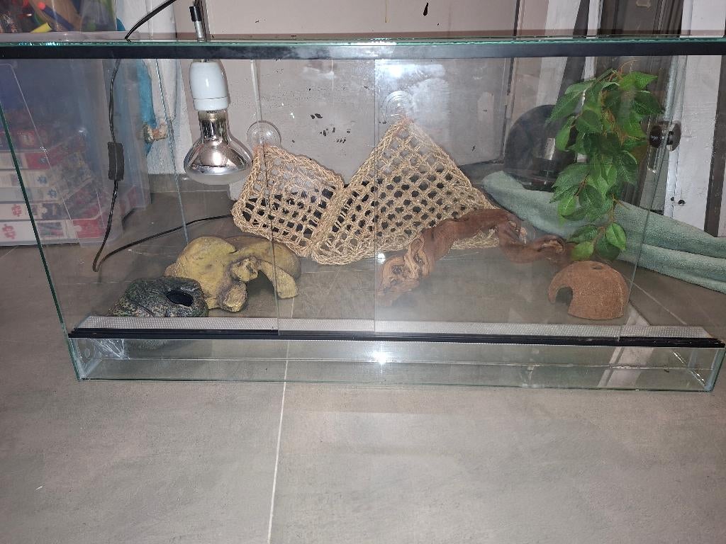 Terrarium, Enlèvement, Utilisé