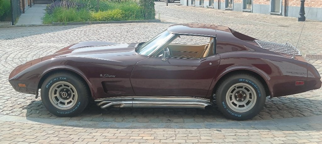 Chevrolet Corvette C3 Stingray 1976, foto 6