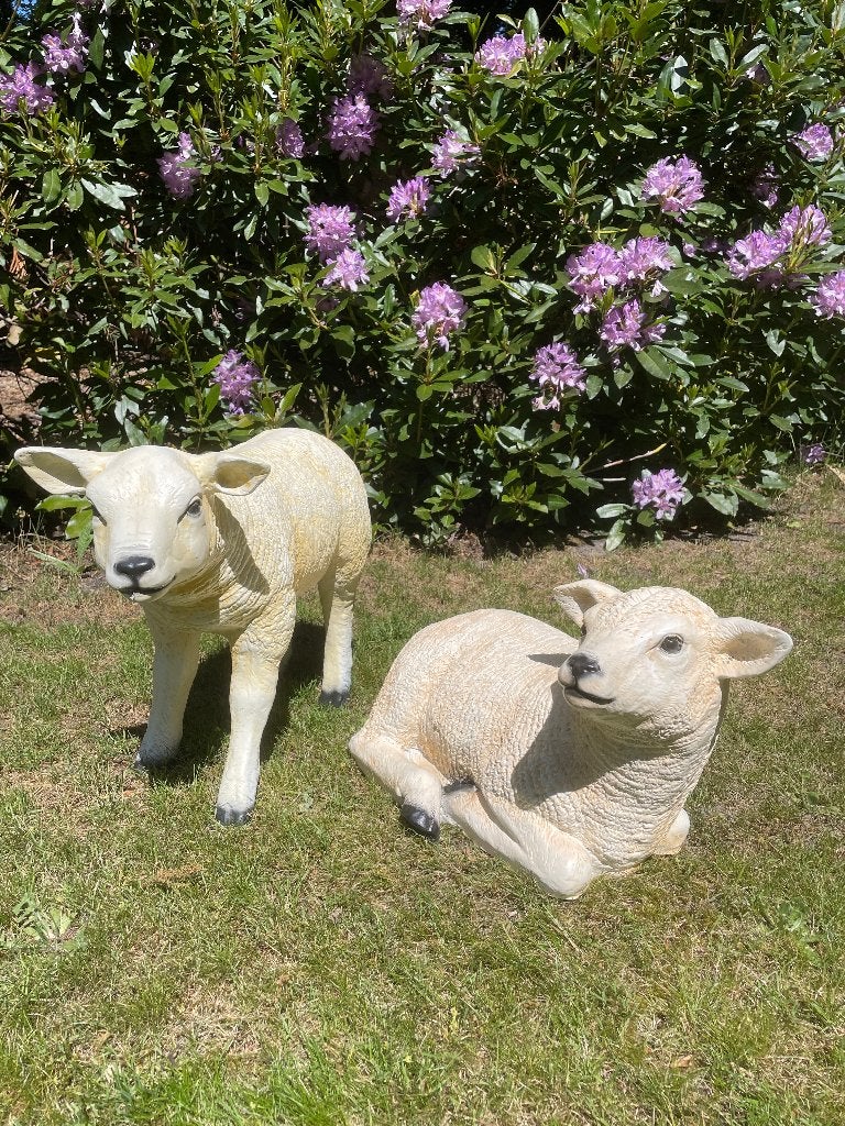 Beeld set Texel schaap lammetjes, tuin, boerderij, Tuin en Terras, Tuinbeelden, Nieuw, Dierenbeeld, Kunststof, Ophalen