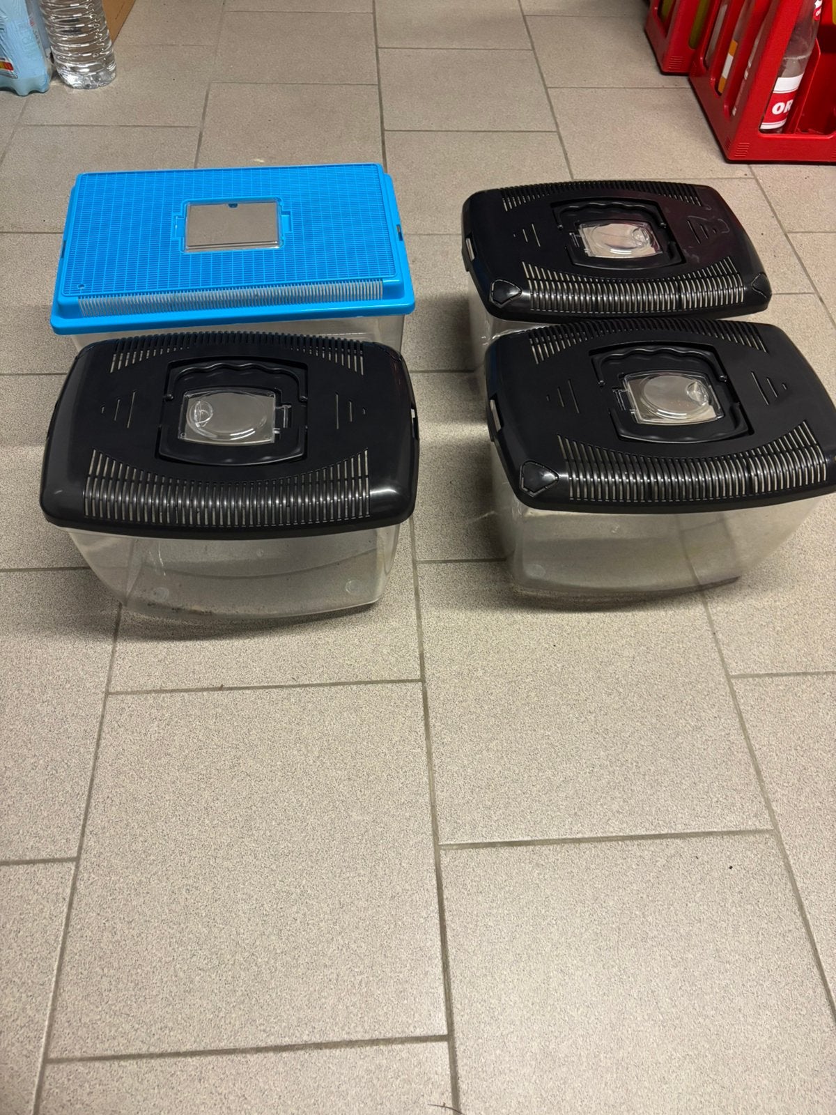 4 aquariums d'élevage/aquariums de transport, Enlèvement, Couvercle inclus, Comme neuf, Aquarium vide