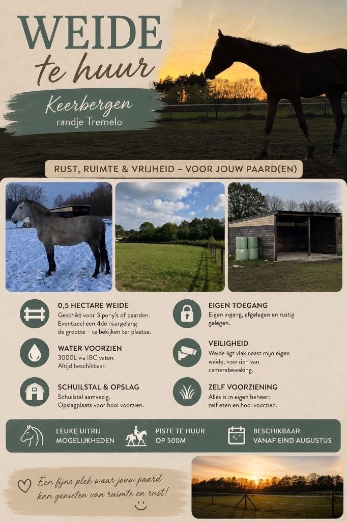 Weide te huur keerbergen, Dieren en Toebehoren, Weidegang, 2 of 3 paarden of pony's