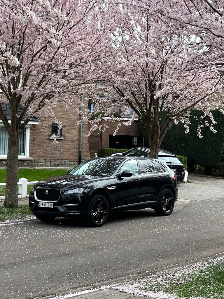 Jaguar F-PACE 2016, Autos, Jaguar, Cuir, Achat, Euro 6, Noir
