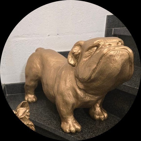 Bulldog brons/antique goud, Enlèvement