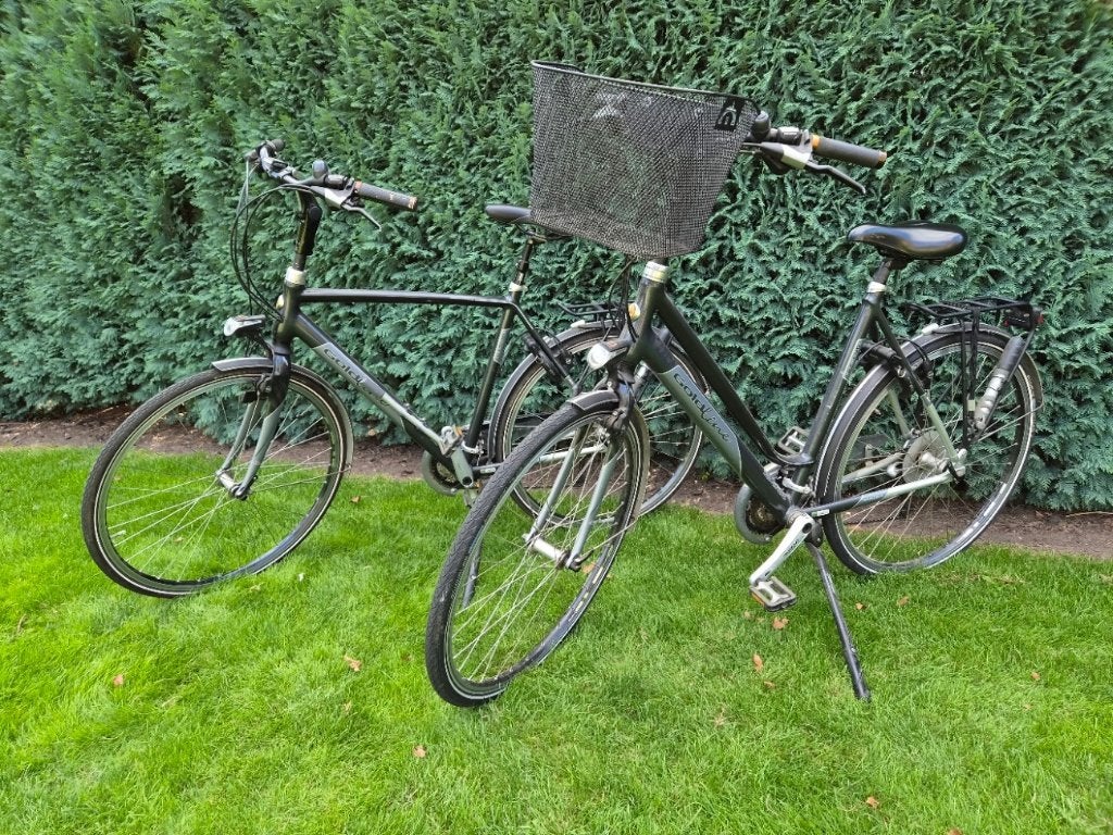 Dames- en herenfiets Gazelle, Fietsen en Brommers, Ophalen, Gebruikt, Heren, Overige typen