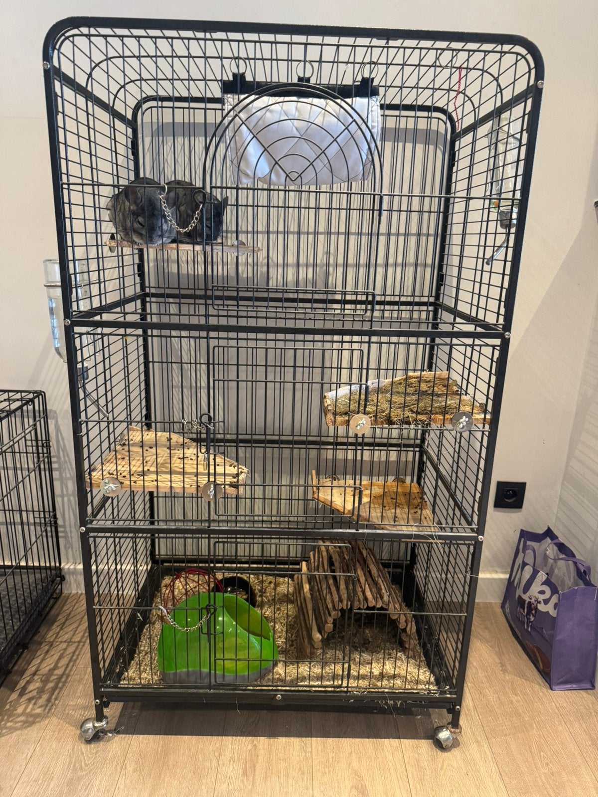 2 chinchillas + kooi en toebehoren, Dieren en Toebehoren, Ophalen, Zo goed als nieuw, Kooi