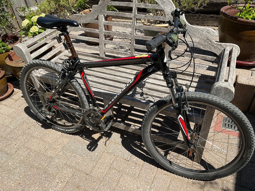 Mountainbike, Vélos & Vélomoteurs, Vélos | VTT & Mountainbikes, Enlèvement, Utilisé, Hommes, Autres marques
