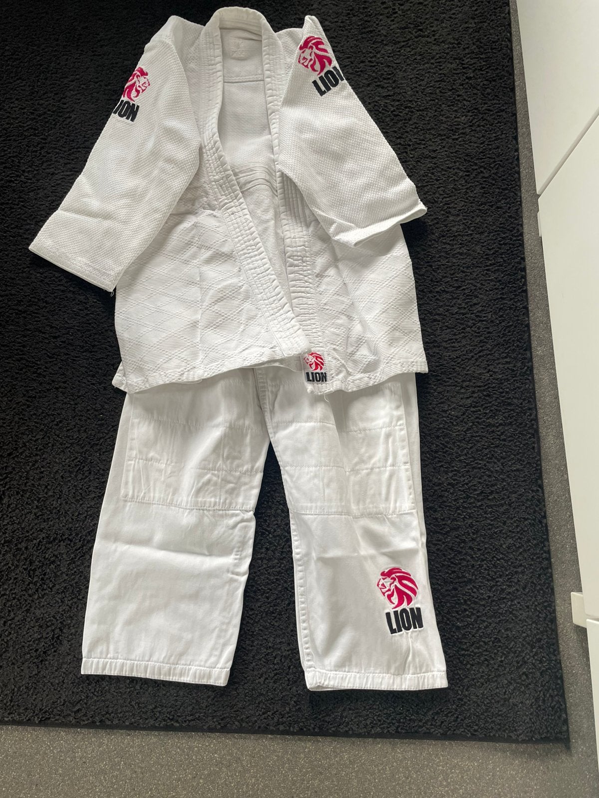 Judopak, Kinderen en Baby's, Kinderkleding | Maat 152, Ophalen, Zo goed als nieuw