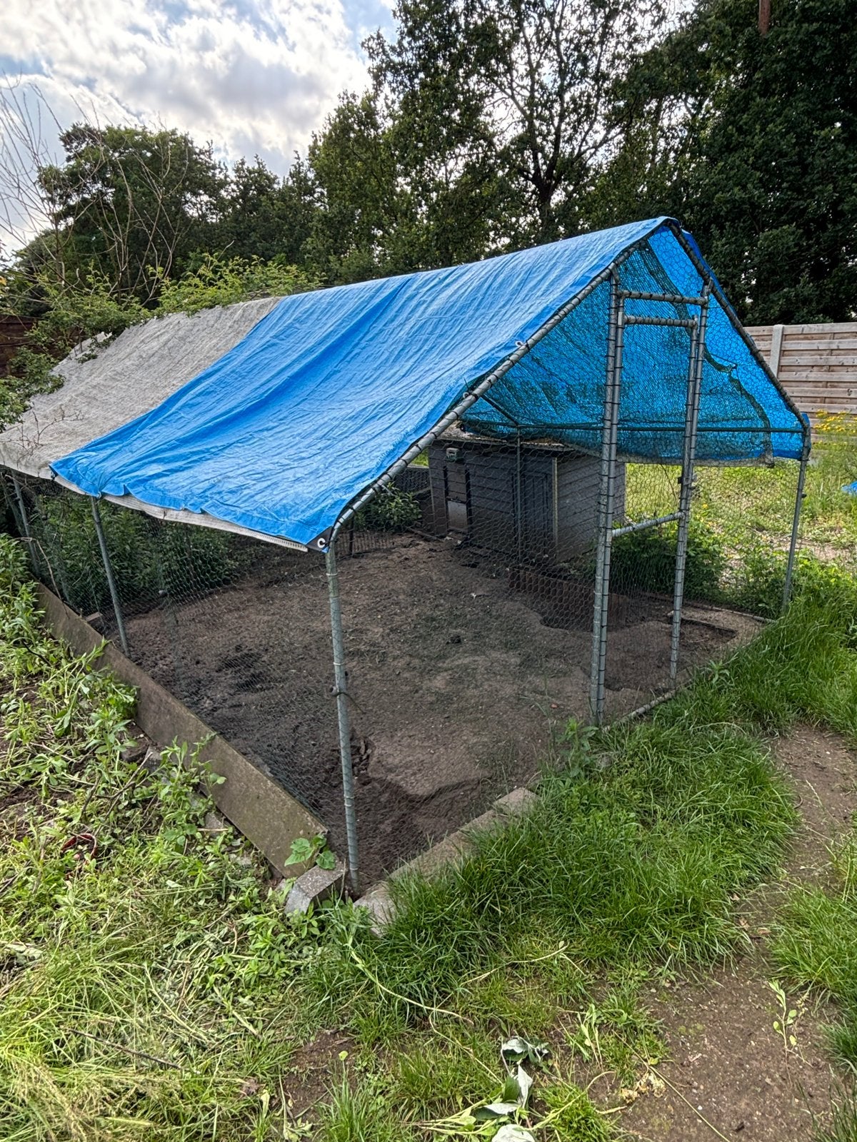 Kippenren 6m x 3m + kippenhok + automatisch luikje, Dieren en Toebehoren, Pluimvee, Meerdere dieren, Kip