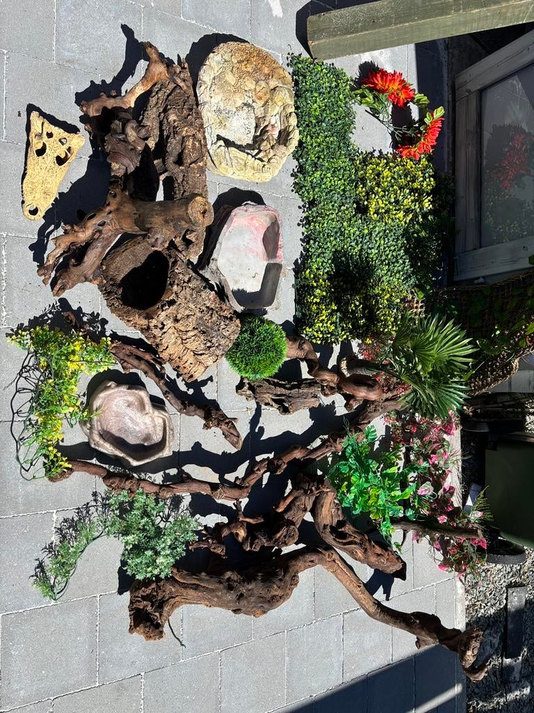 Inrichting terrarium, Dieren en Toebehoren, Ophalen, Gebruikt