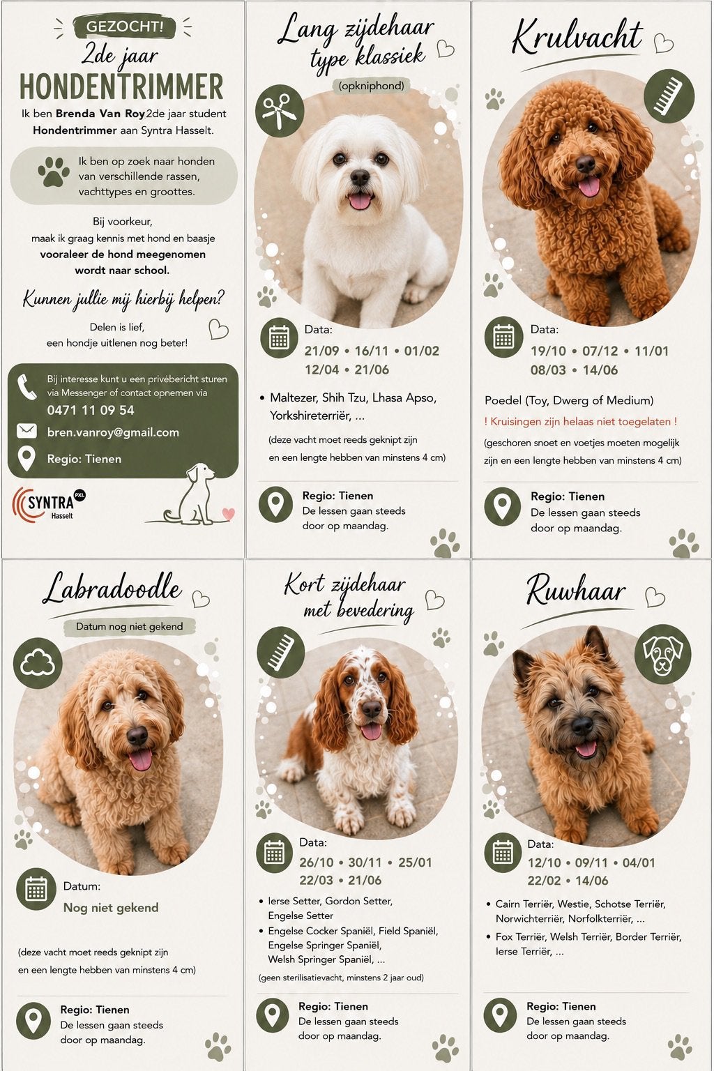 Honden gezocht voor een gratis trimbeurt !, Januari, Meerdere dieren