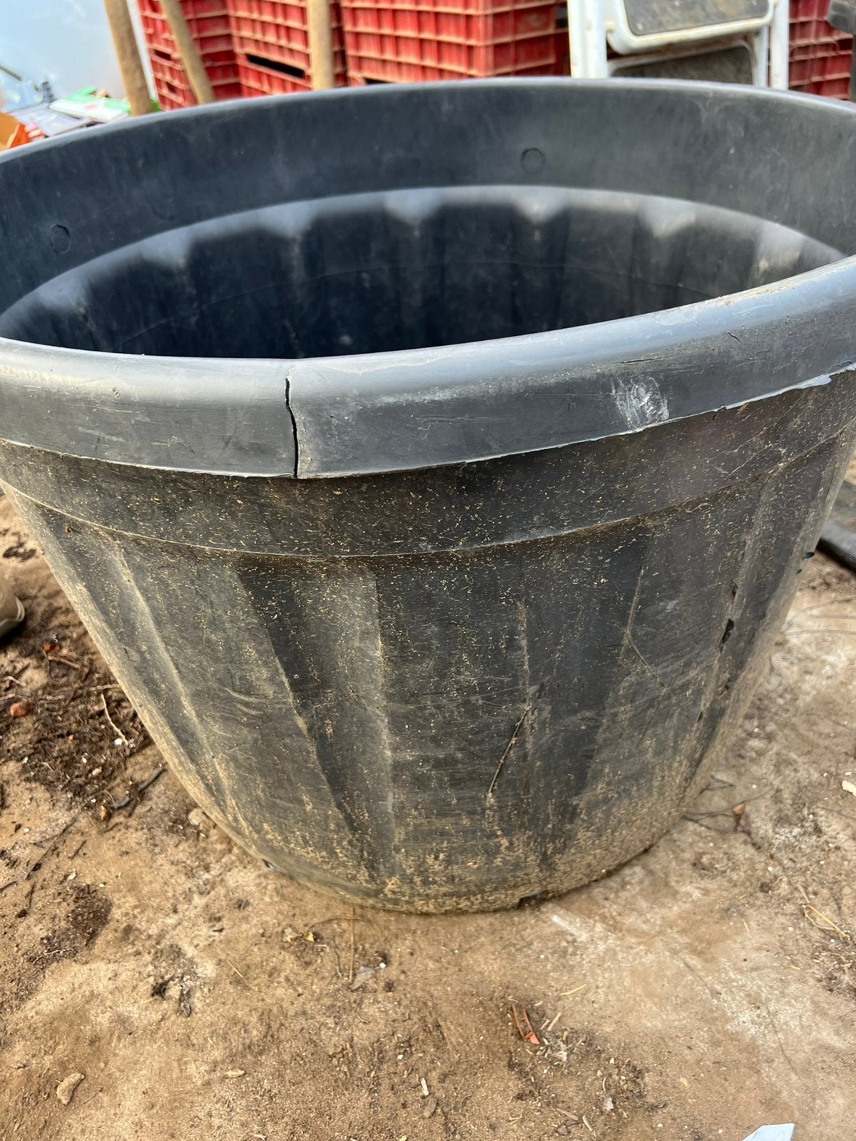 heel grote plantenkuip container 175 liter 78 x 53 cm, Ophalen, Kunststof, 40 cm of meer, Rond