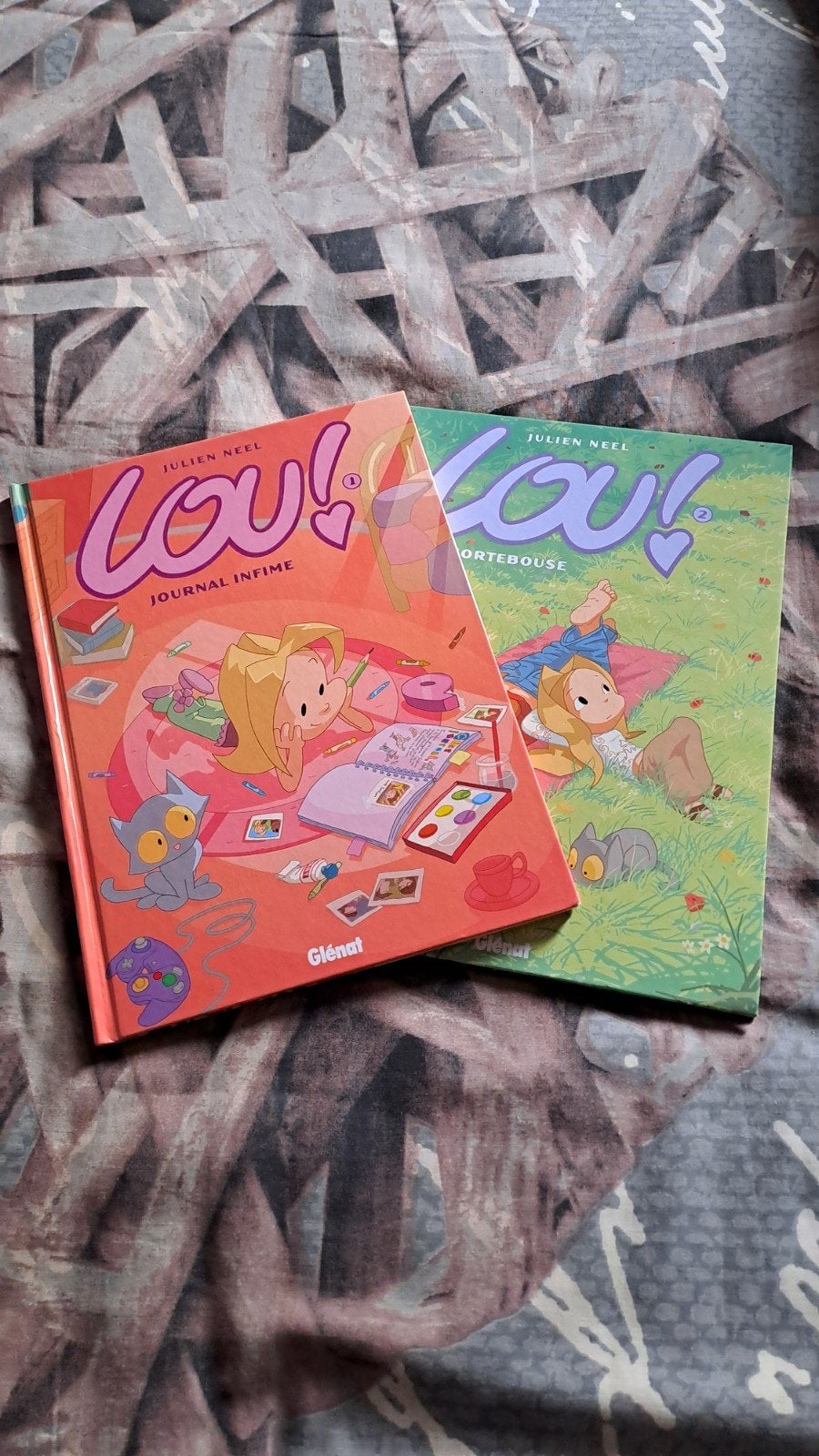 Bd Lou tome 1 et 2, Livres, Enlèvement
