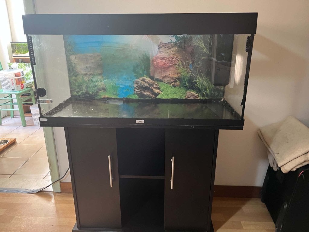 VERKEERD AANGEKOCHT , AQUARIUM JUWEL 1 METER, Pompe, Aquarium vide, Enlèvement, Utilisé