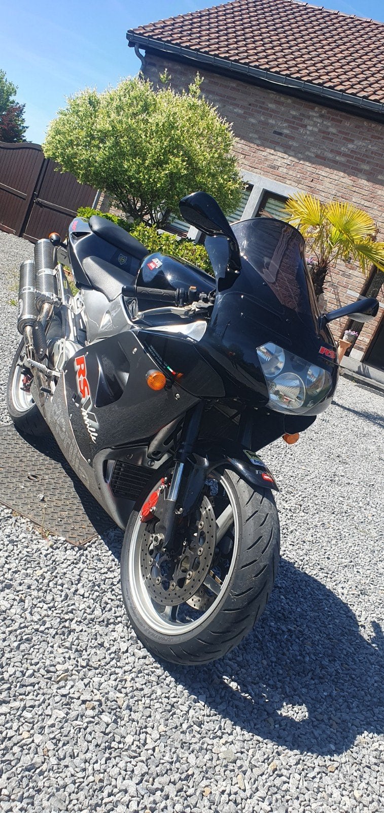 Aprilia Rsv Mille, Particulier