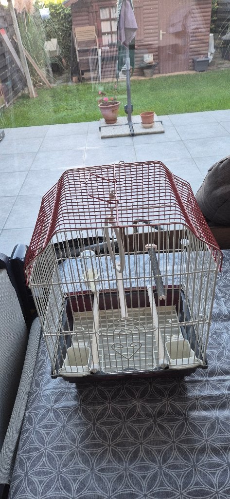cage à oiseaux avec accessoires, Animaux & Accessoires, Enlèvement, Comme neuf, Métal, Cage à oiseaux