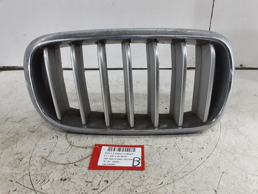 LUCHTROOSTER BMW X5 (F15) (01-2013/07-2018) (7316076), Gebruikt, Mevr. I. Hauben, BMW, Rue de l'Espoir 34 34
4030  GRIVEGNÉE, BE
