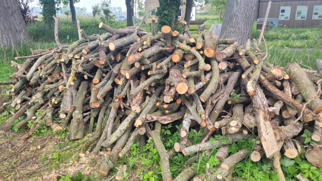 Bois de chauffage à vendre dans la région de Damme, Enlèvement, Troncs d'arbres