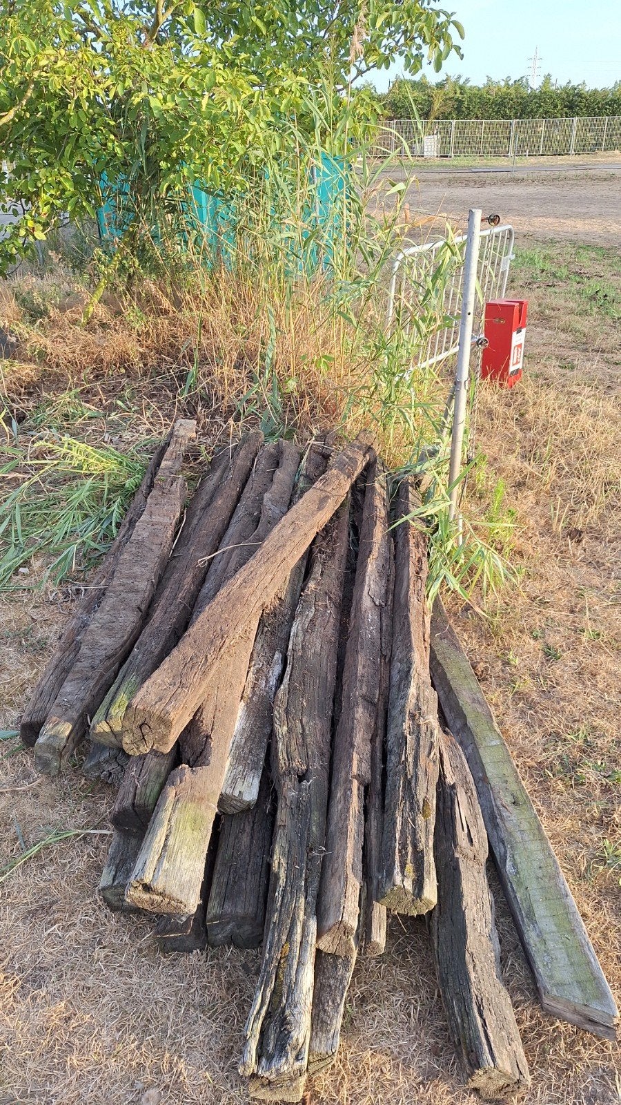 weipalen - gekloven bilzen, Dieren en Toebehoren
