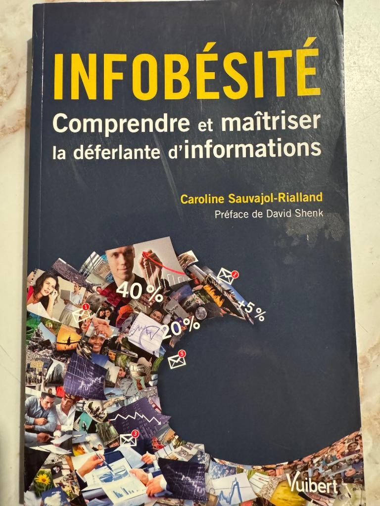 Infobésité comprendre & maîtriser informations, Livres, Science, Sciences sociales, Enlèvement ou Envoi
