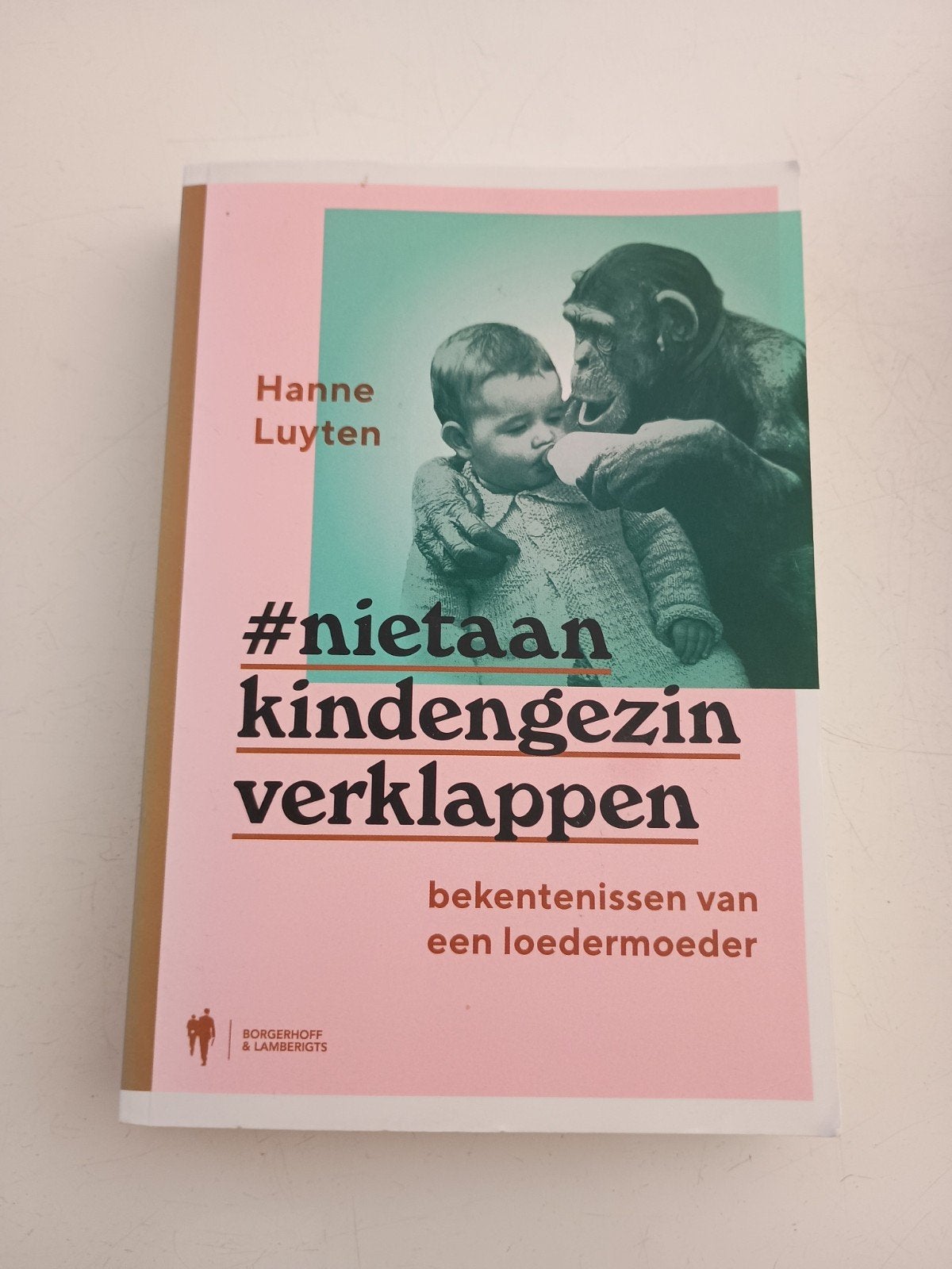 Hanne Luyten - Niet aan kind en gezin verklappen, Livres, Politique & Société, Enlèvement