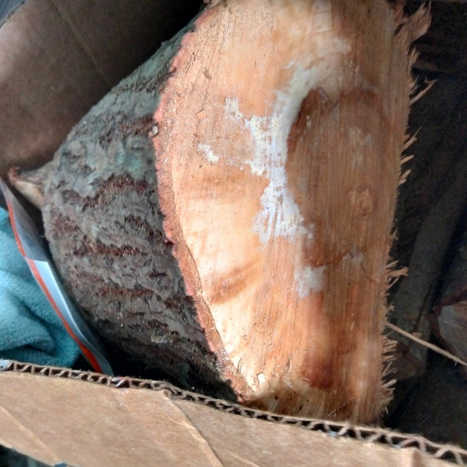 Gezocht brandhout, Minder dan 3 m³, Verzenden