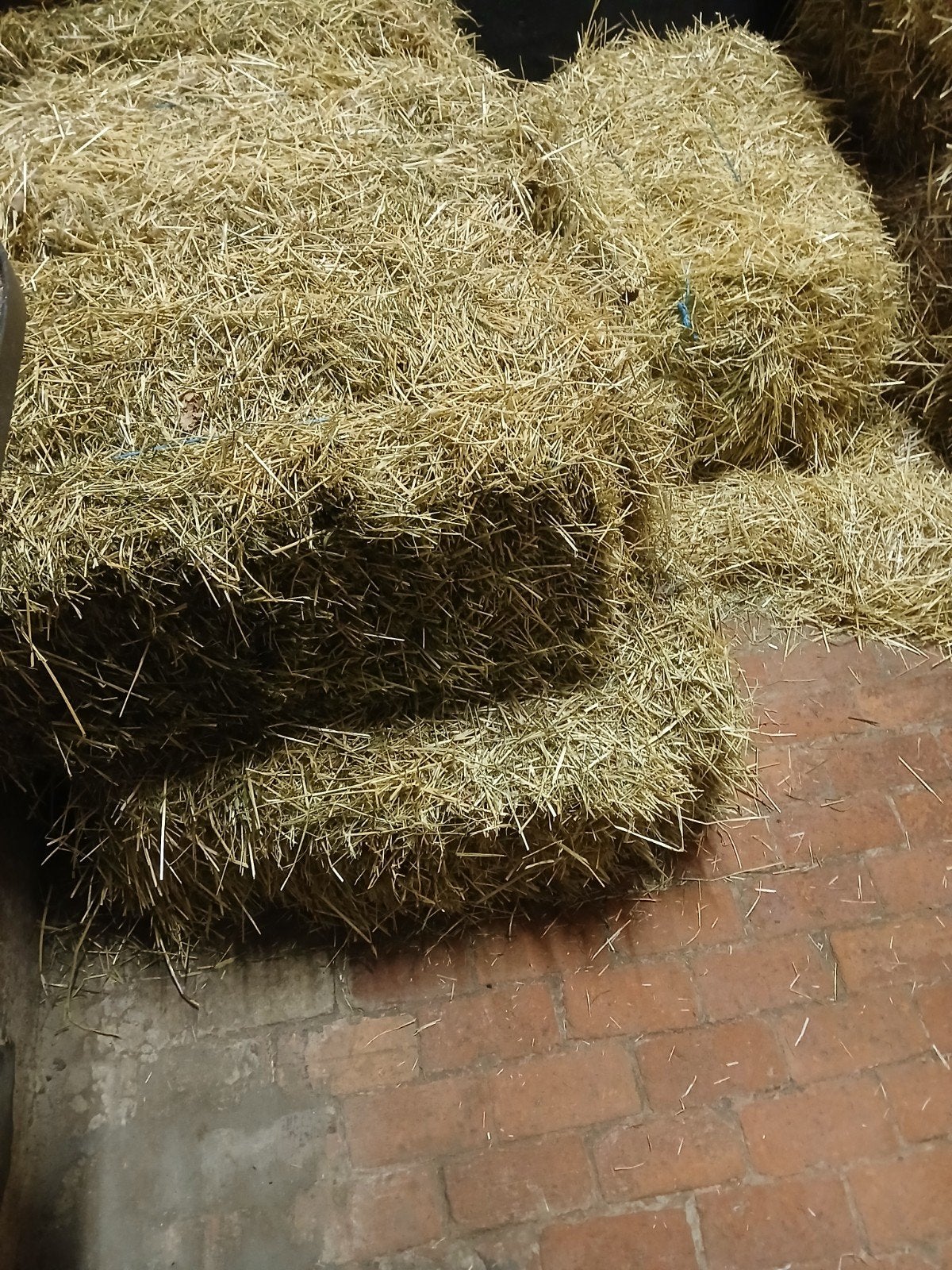 Hooi te koop, Dieren en Toebehoren