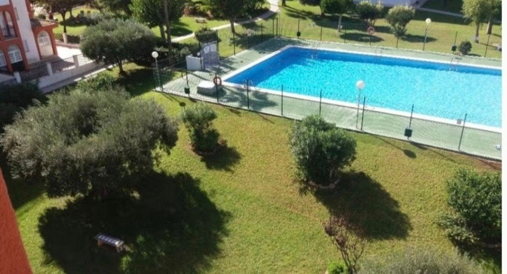 Torrevieja : N'hésitez pas à nous contacter :1 ou 2 chambres, Propriétaire, 1 chambre, Costa Blanca, 4 personnes