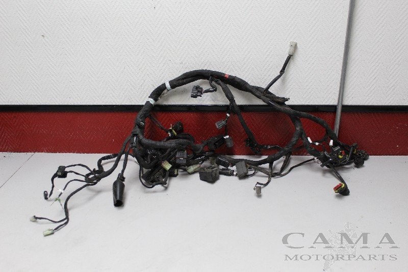 FAISCEAU DE CÂBLAGE DIVERS Ducati Diavel (2011-2015), Dhr. S. di Majo, Utilisé, Info@cama-motorparts.nl, P.J. Troelstraweg 8 8
3144 CX  MAASSLUIS, NL
