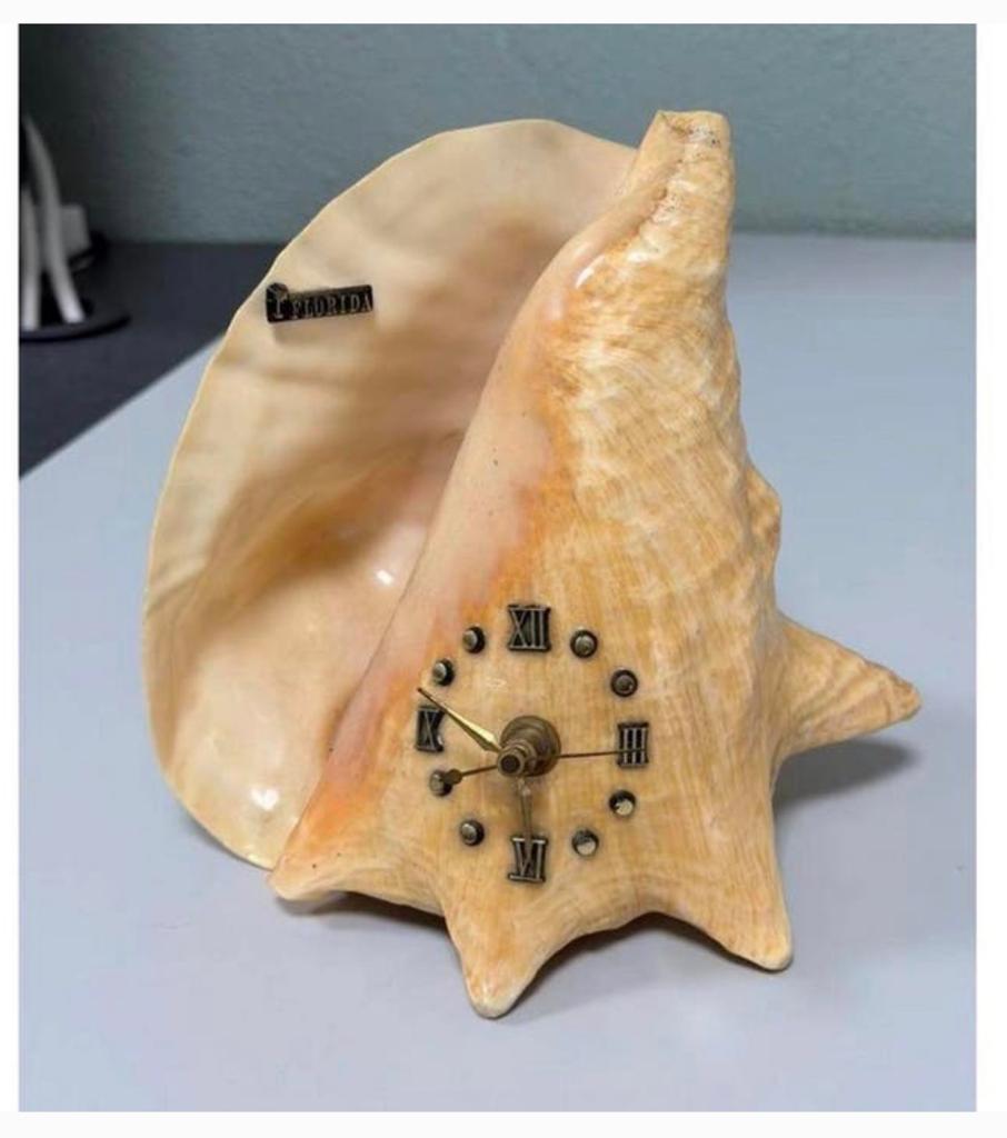 Vintage Schelpklok Grote Gepolijste Conchshell Florida Decor, Antiek en Kunst, Antiek | Klokken, Ophalen of Verzenden