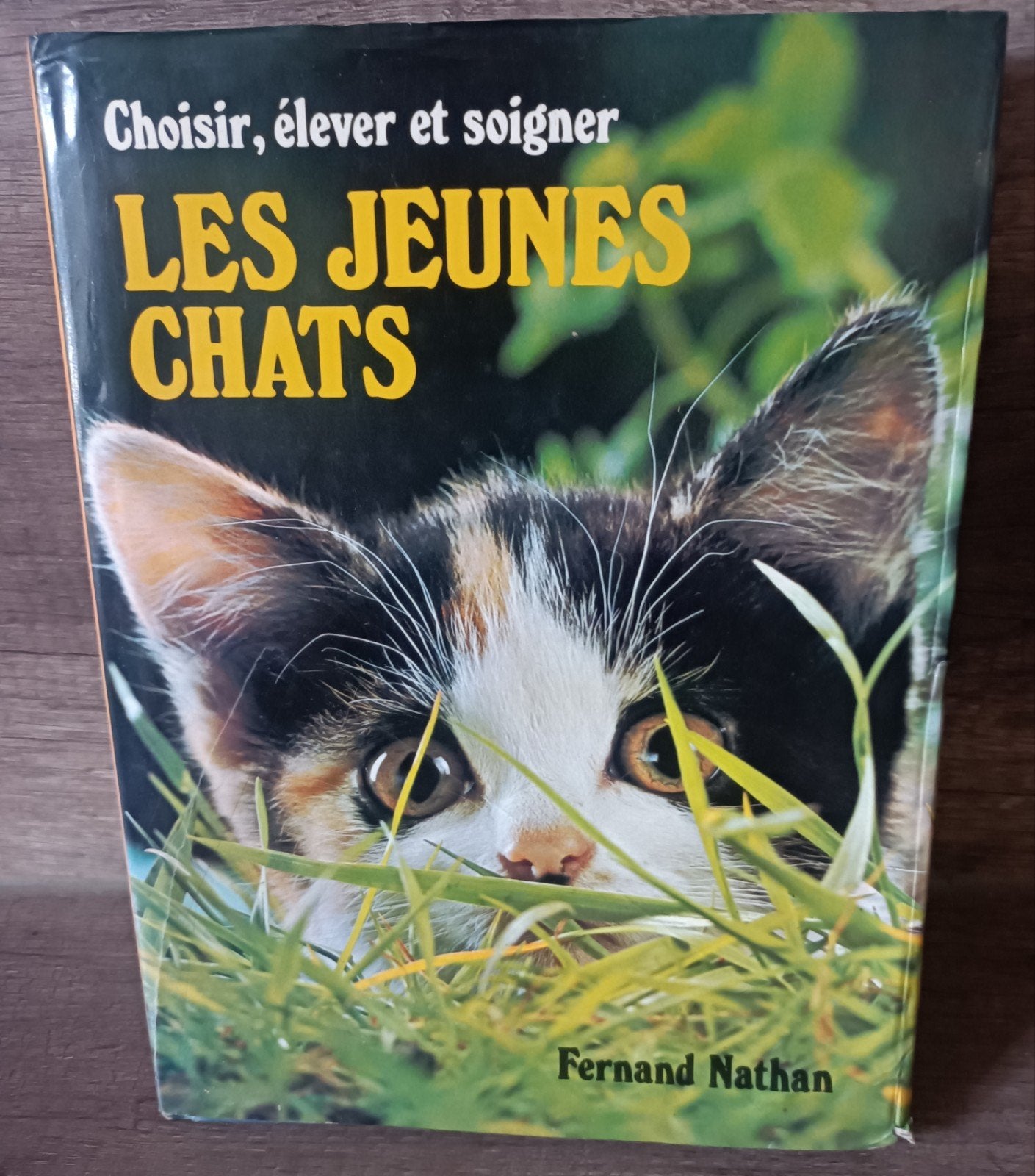 les jeunes chats, Ophalen of Verzenden, Katten
