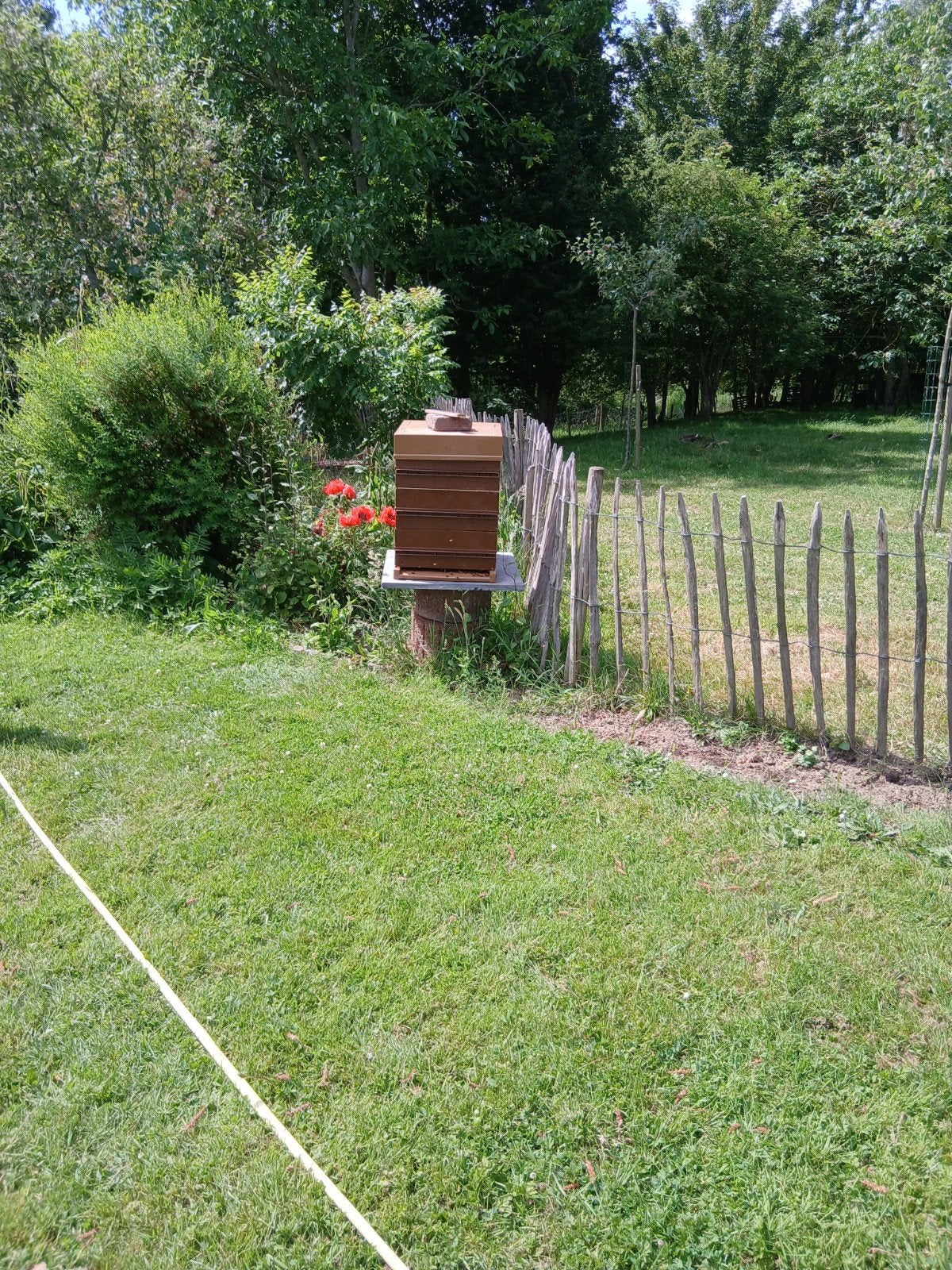 A vendre colonies, Animaux & Accessoires, Box & Pâturages