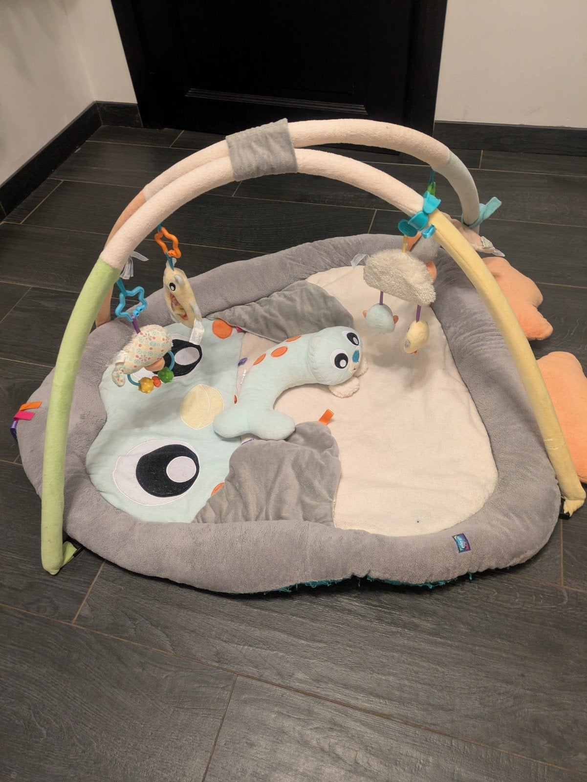 Tapis de jeu Playgro, Enlèvement
