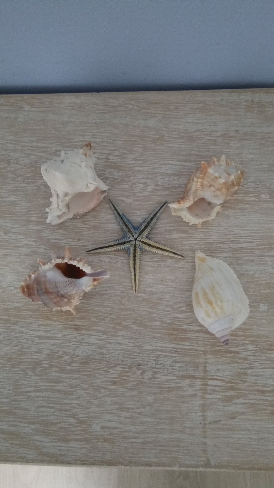 leuke set sier schelpen, Ophalen