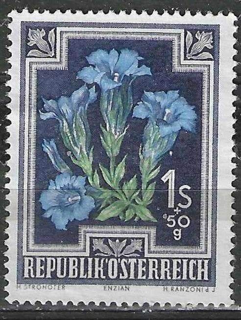 Oostenrijk 1948 - Yvert 730 - Gentiaan (ZG), Postzegels en Munten, Verzenden, Postfris