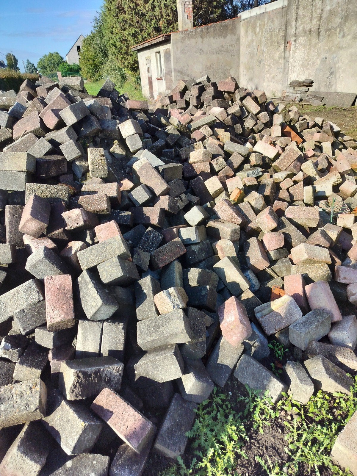 Gratis  Sterke betonklinkers., Ophalen, Beton