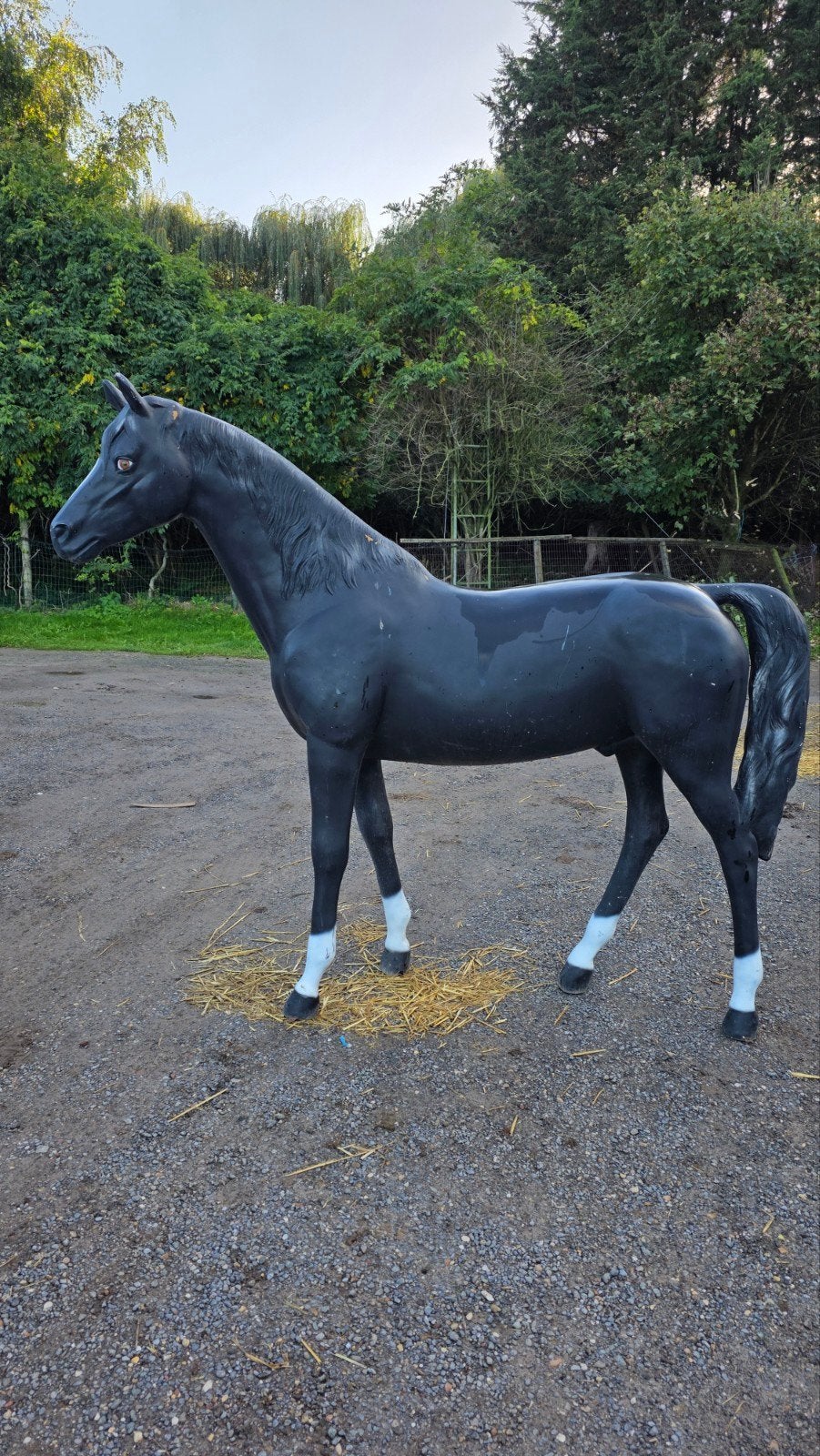 paard mannequins, 140 cm schoft, Ophalen, Zoogdier, Zwart, 1 meter - 2 meter