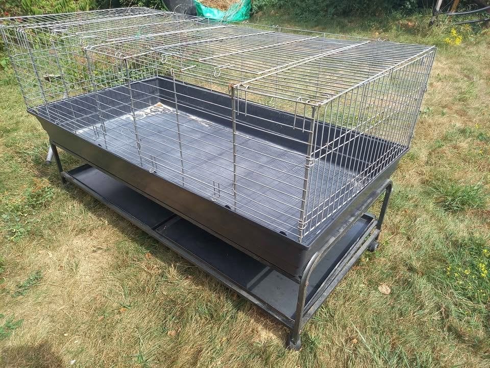 cage pour rongeurs, Cage, Cobaye, Enlèvement, Utilisé